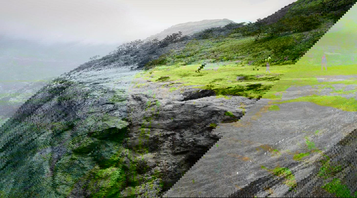 Aadrai Jungle Trekkings