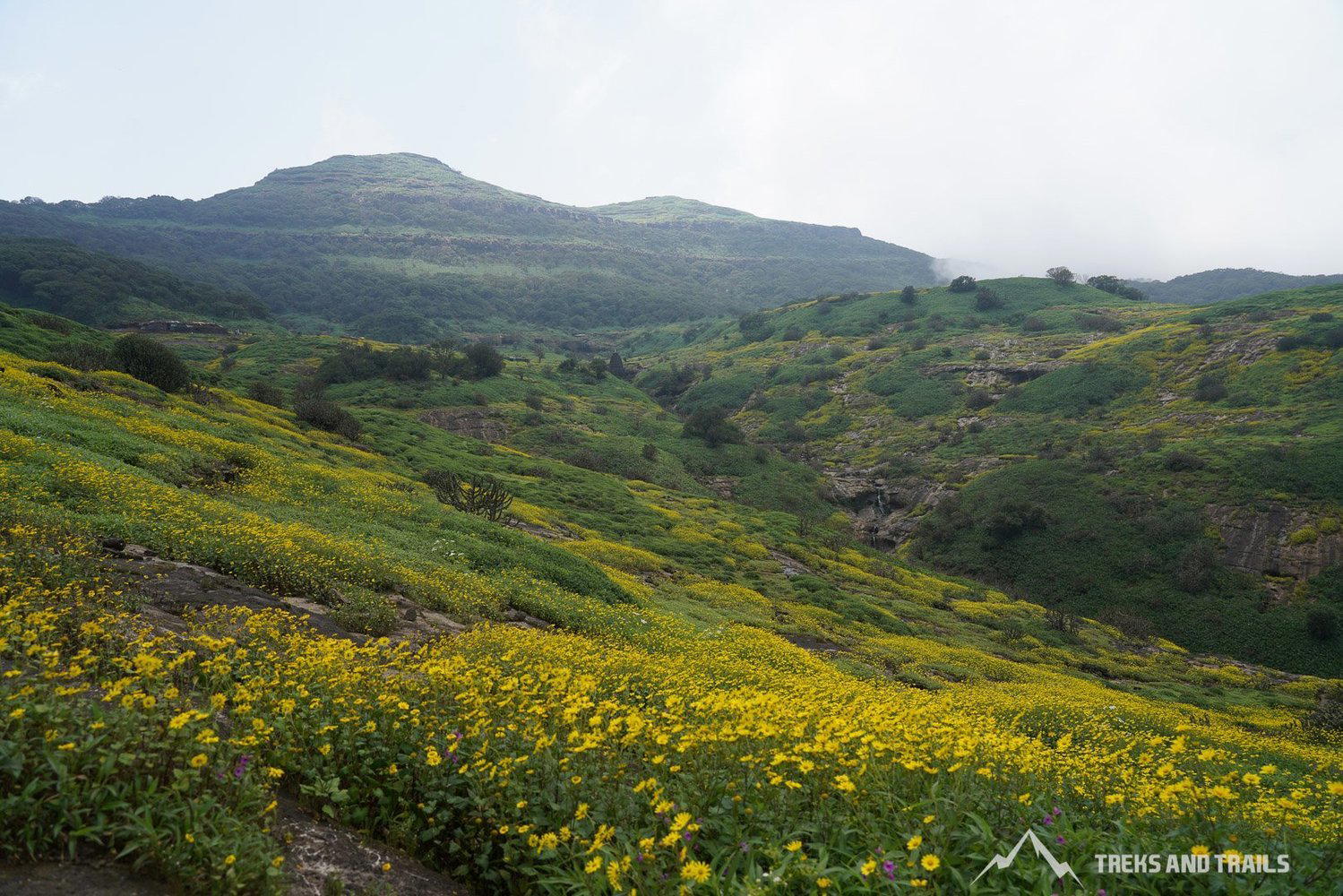 Harishchandragad Trek Sonki