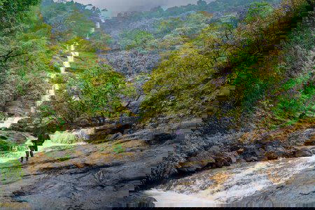 Hidden Gem Waterfall Trek