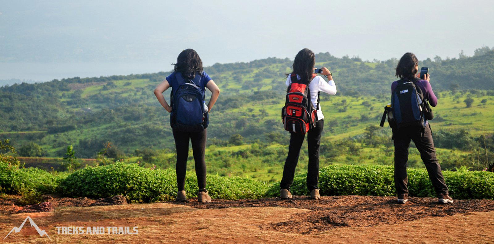 maharashtra-flower-valley