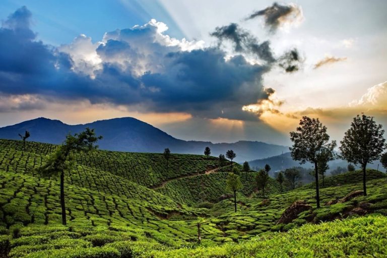 Explore the top offbeat hill stations in Kerala