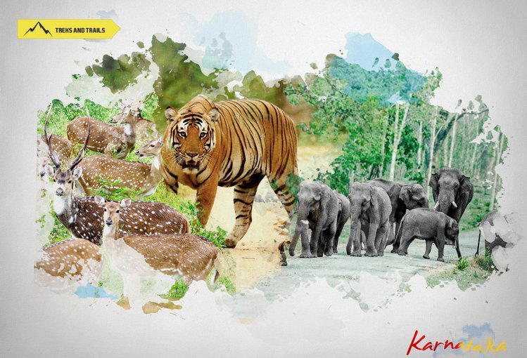 Tour to Nagarhole National Park