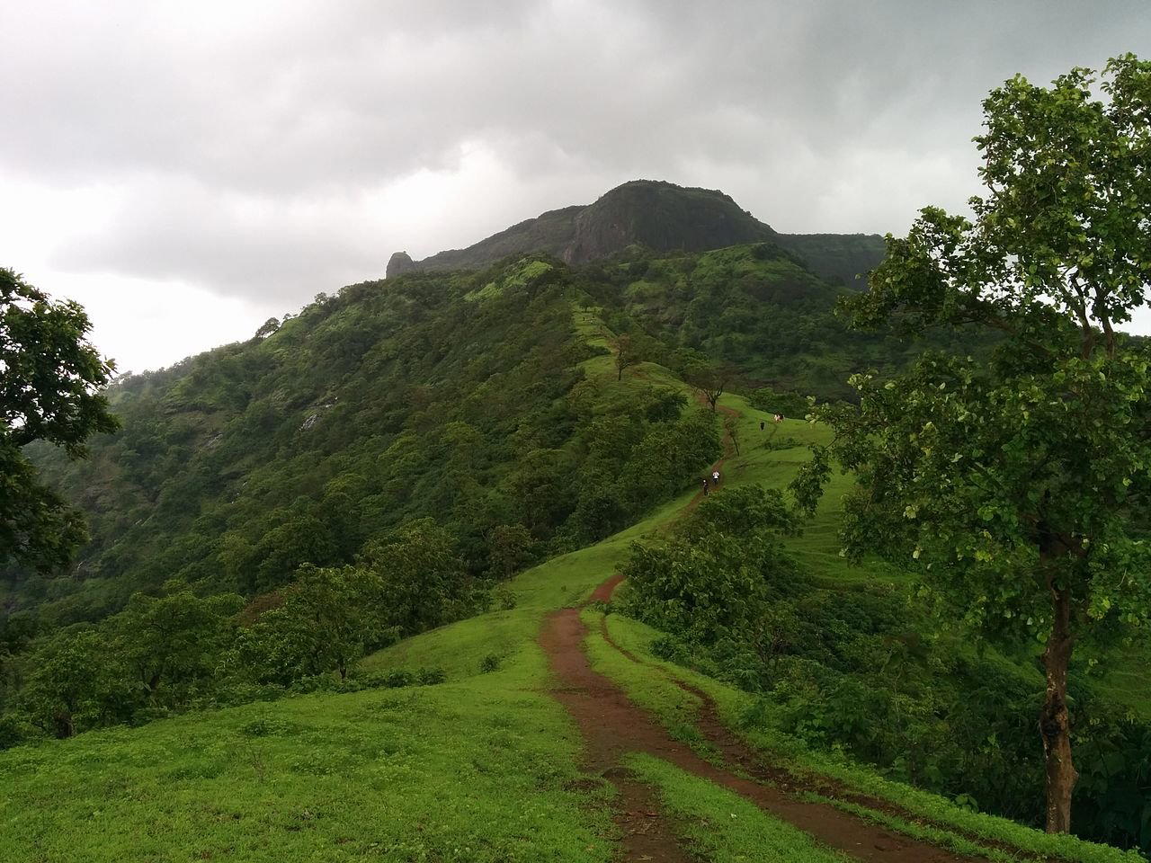 One Tree Hill Point Trek Matheran - Tour