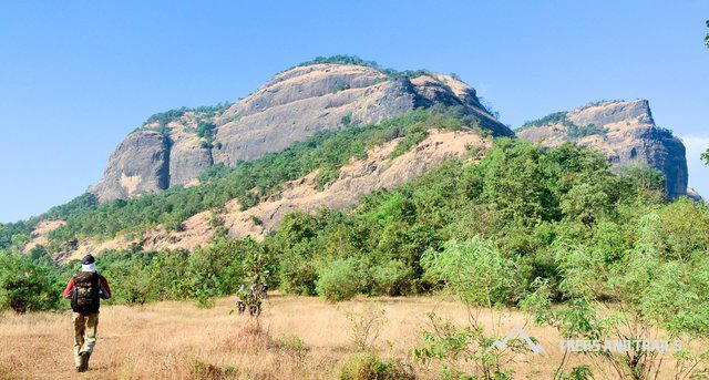 Trek Near Me Trek Near Me